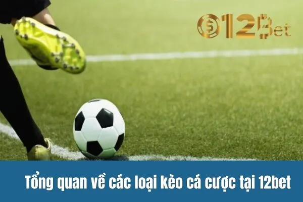 Giải Đáp Thắc Mắc Về Các Kèo Cá Cược 12bet